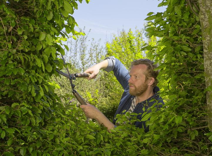 Nůžky na živý plot, 230 mm - GA1230020